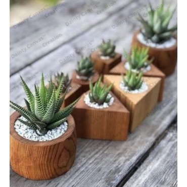 Wooden Planter Pots Set of 8	