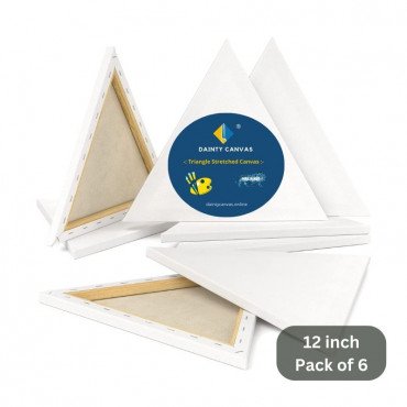 12" Inch Combo Pack 6 Triangle Shape Stretched Canvas