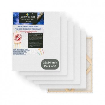16x24 Inch combo pack of 6 piece Stretched Canvas